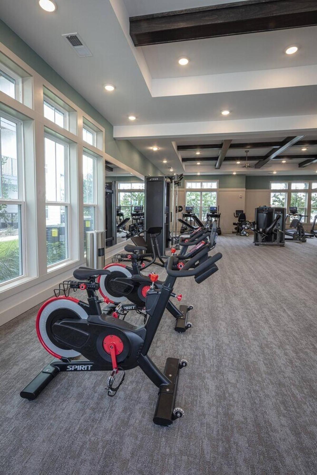 Apartment Complete Spacious King Retreat W Gym Pool Close To Parks Orlando